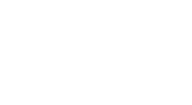 Microsoft Partner