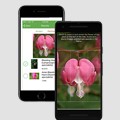 O2I's Intuitive Application Helped a US Client Identify Plants with Ease