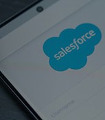 Salesforce Application Development Services