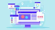 Wordpress CMS Development Services