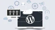 Wordpress Migration Services