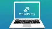 Wordpress Plugin Development Services